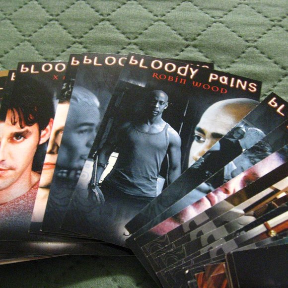 Buffy Vampire Slayer Spike 2005 Trading Card Set - Picture 5 of 9